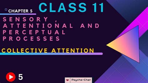 Sensory Attentional And Perceptual Processes Chapter 5 Class 11