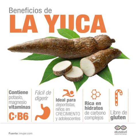 Beneficios De La Yuca Buena Alimentacion