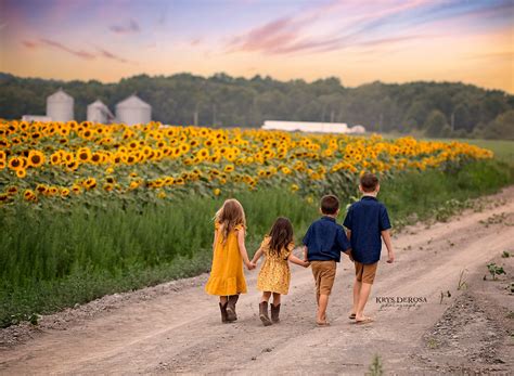 What Are The Best Colors To Wear To A Sunflower Field Krys Derosa