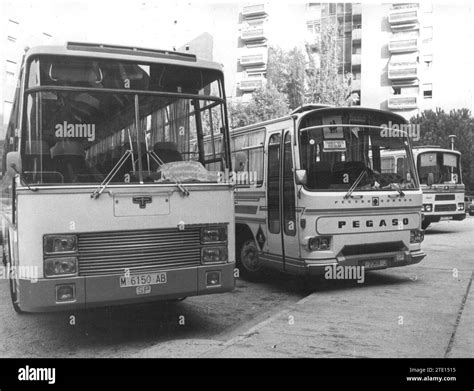 09141982 School Buses Prepared For The Opening Of The School Year