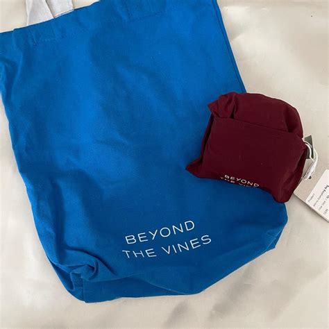 Btv Beyond The Vines Dumpling Bag Micro Size Sling Bag Nylon Branded Singapore New Fesyen