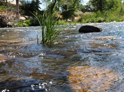 How to keep our lakes and rivers clean - Truckee Meadows Water Authority