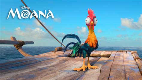 Heihei Moana 4k Wallpaper,HD Movies Wallpapers,4k Wallpapers,Images,Backgrounds,Photos and Pictures