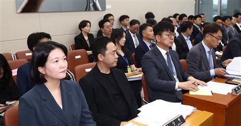 과방위 출석한 최수연·서상원 대표