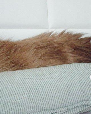 Keekihime Nude Porn Pictures XXX Photos Sex Images 4086648 PICTOA