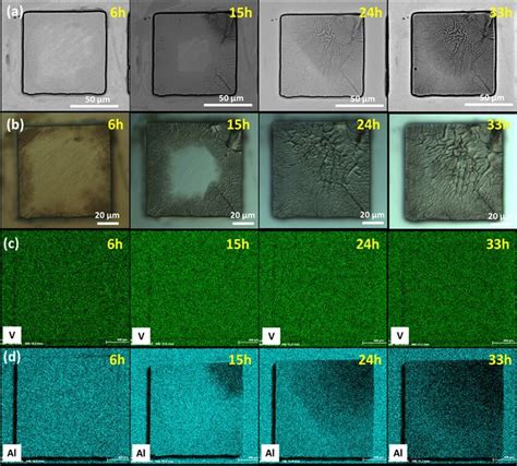 9 Surface morphology and elemental maps of a 90 x 90 µm² pillar as a