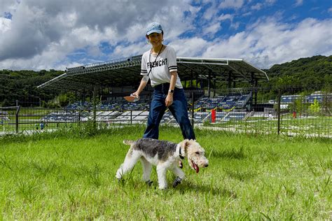 里山ガイド ｜ アシックス里山スタジアム｜asics Satoyama Stadium （fc今治新スタジアム）