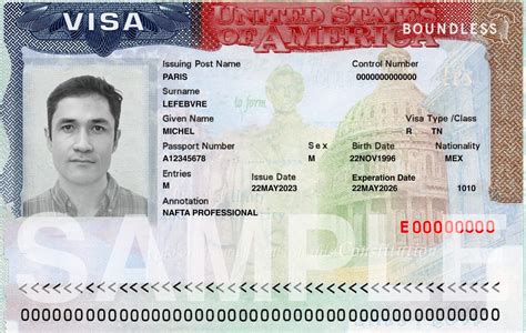 Tn Visa Explained Boundless