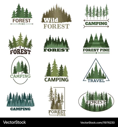 Forest badge set Royalty Free Vector Image - VectorStock