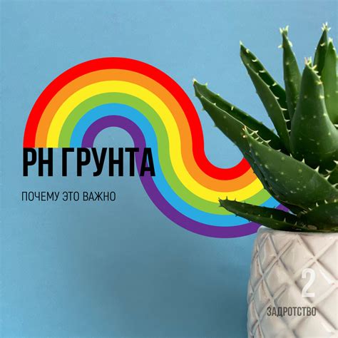 рН грунта для комнатных растений