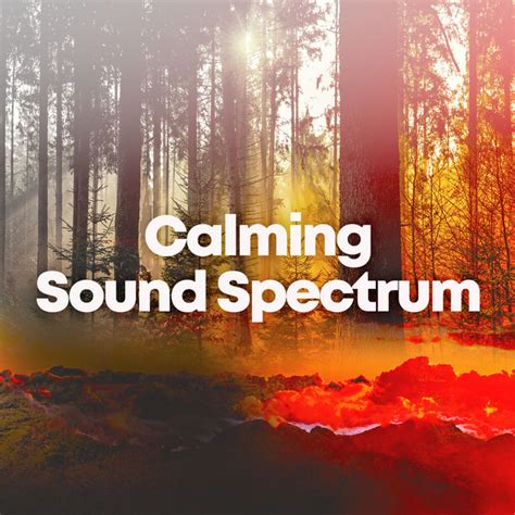 Calming Sound Spectrum Album By Calming Sounds Spotify