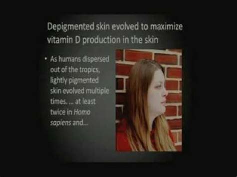 The Evolution Of Human Skin Pigmentation University Of California