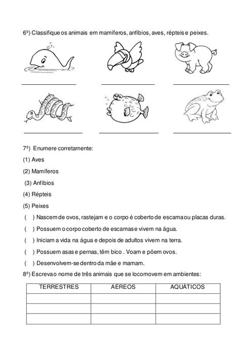 6º Classifique Os Animais Em Mamíferosanfíbios Aves Répteis E Peixes 7º Enumere