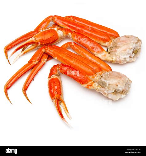 Snow Crab Chionoecetes Opilio Or Tanner Crab Clusters Isolated On A