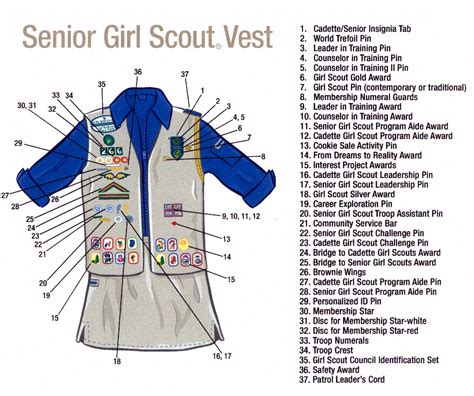 Senior And Ambassador Girl Scouts Girl Scouts Girl Scout Vest Girl Scout Gold Award