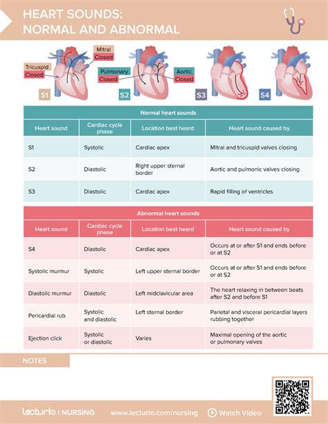 Nursing Cs Heart Sounds Normal And Abnormal 03 Lecturionursing Watch