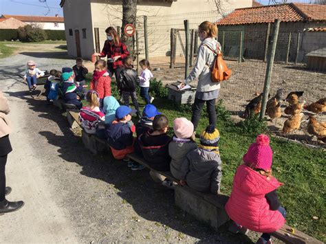 Saint Denis sur Coise Les enfants à la découverte de la ferme pédagogique