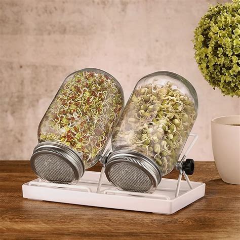 Ecooe Sprossen Keimglas Er Set Keimgl Ser F R Sprossen Glas Sprouting