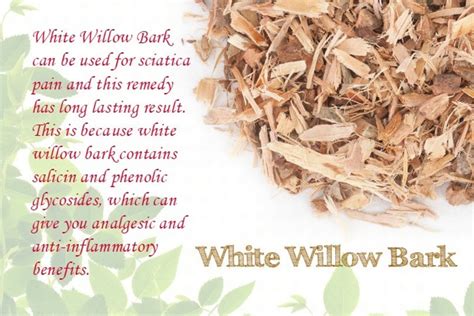 White Willow Bark Tea |Online Herb Store | Mehwerteas....