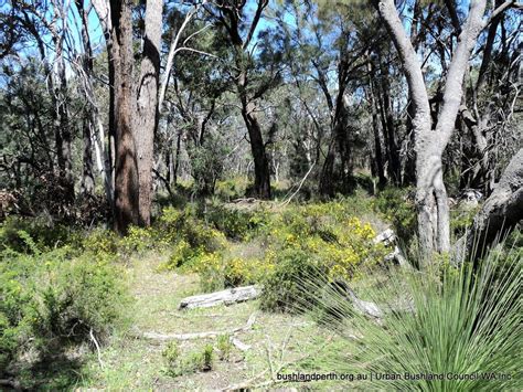 Home Urban Bushland Council Wa