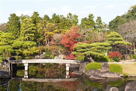 Finding Inner Peace At Adelaides Japanese Himeji Garden