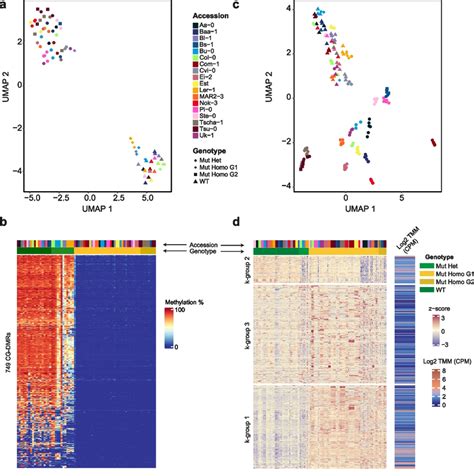 Reduced CG Methylation And Increased Chromatin Accessibility In Met1