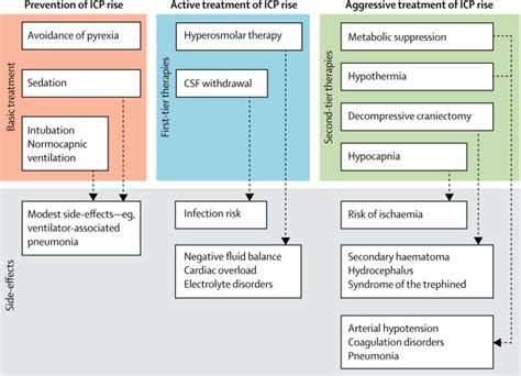 Severe Traumatic Brain Injury Targeted Management In The Intensive Care Unit The Lancet Neurology