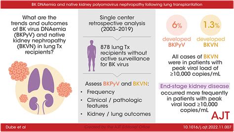 Bk Dnaemia And Native Kidney Polyomavirus Nephropathy Following Lung