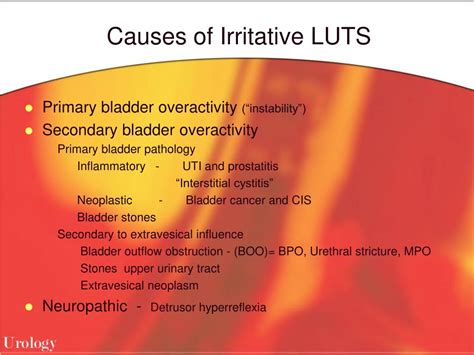 Ppt Lower Urinary Tract Symptoms Luts And Management Of Benign