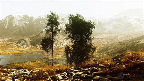 Pine trees and Huangshan mountains in China 5662893 Stock Photo at Vecteezy