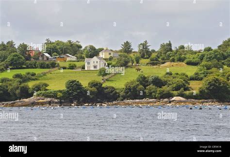 Adrigole Beara Peninsula West Cork Ireland Stock Photo Alamy