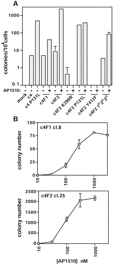 Activation Of C Abl Kinase Activity And Transformation By A Chemical