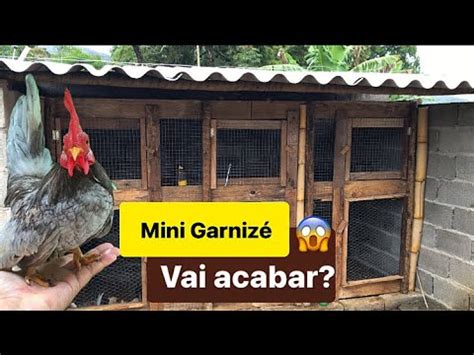 Construindo Um Galinheiro Na Ch Cara Mini Garniz Youtube