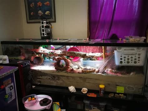 150 Gallon Crabitat Fall 2017 All Things Crabby