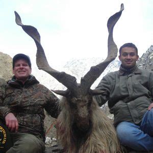 Hunting Markhor | Hunting Consortium The various subspecies of Markhor ...