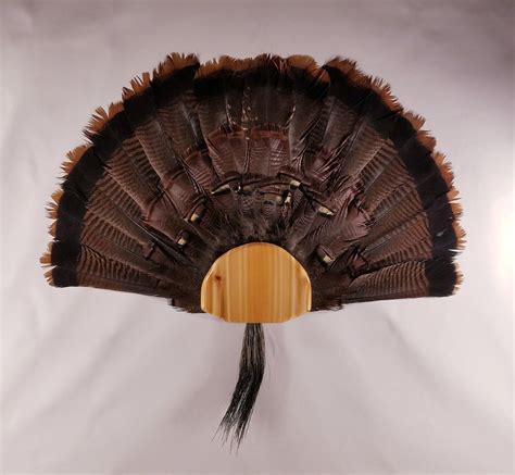 Diy Turkey Fan Beard Display Kit Etsy