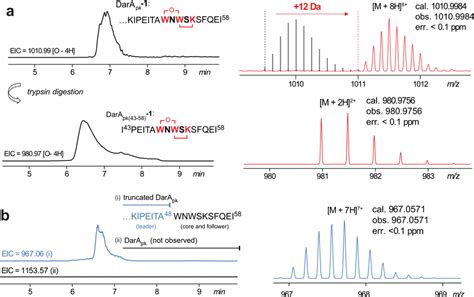 Lc Hrms Analysis Of Darapk Produced In Vivo Showing The Extracted Ion Download Scientific