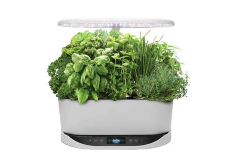 AeroGarden Bounty vs AeroGarden Bounty Elite: Which One? - Farmer Grows