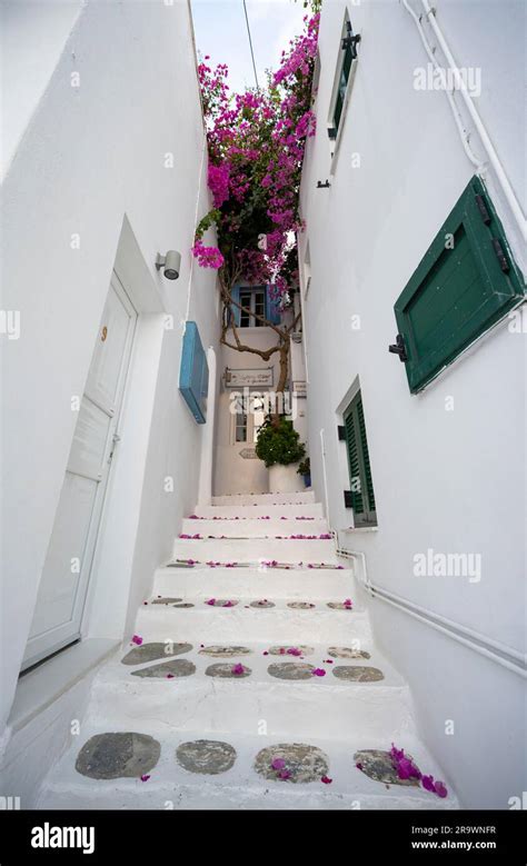 Kykladische weiße Häuser mit bunten Fensterläden und Bougainvillea