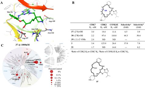 Design And Synthesis Of Novel Macrocyclic Derivatives As Potent And