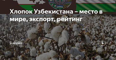 Хлопок Узбекистана – место в мире, экспорт, рейтинг | Kubdeneg | Дзен