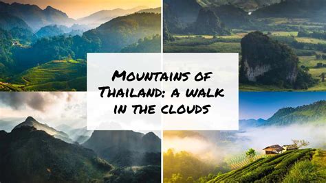 Mountains Of Thailand: A Walk In The Clouds