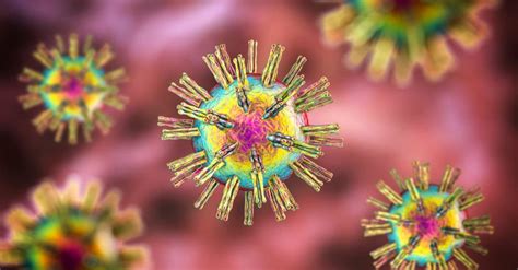 Hsv Virus Testimony With Pcr Test Scalar Light