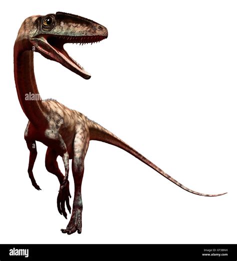 Coelophysis Stock Photo - Alamy