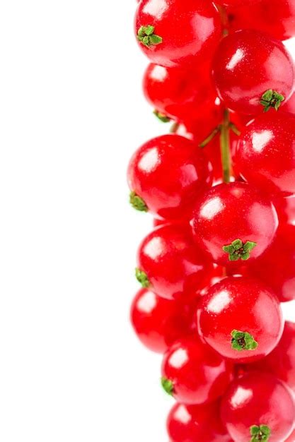 Premium Photo Red Currant Isolated On White Background