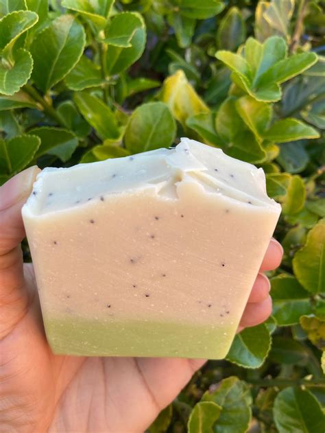 Eucalyptus Spearmint Soap All Natural Soap Handmade Soap Etsy