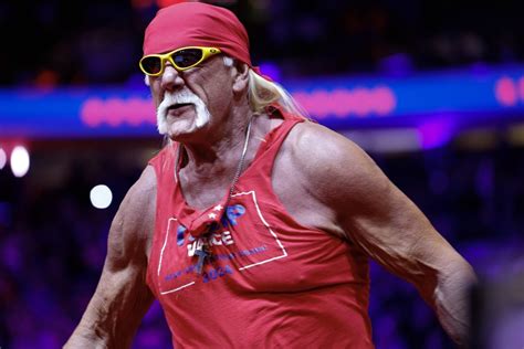 Hulk Hogan Sex Tape Leaker Was Not Bubba Brooke Reveals