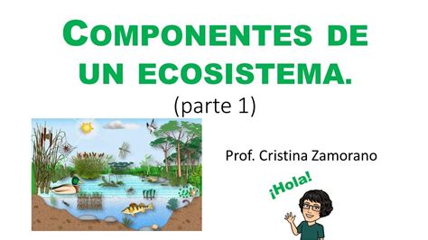 Componentes De Un Ecosistema Parte 1 Concepto Biotopo Y Biocenosis