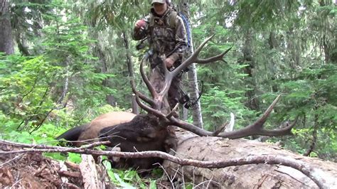 Oregon Archery Elk Hunting Lindsey Tags Here First Elk In The