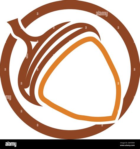 Acorn Oak Logo Ilustration Vector Stock Vector Image Art Alamy